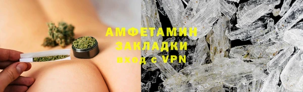 прущие грибы Алзамай