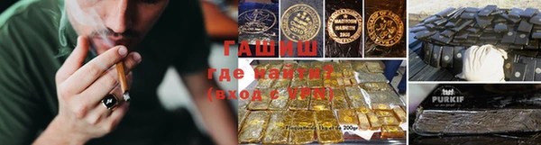 прущие грибы Алзамай