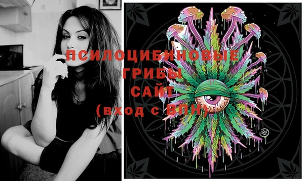 PSILOCYBIN Алексин