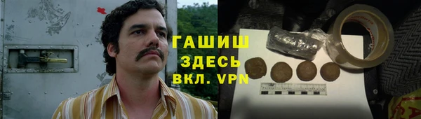 прущие грибы Алзамай